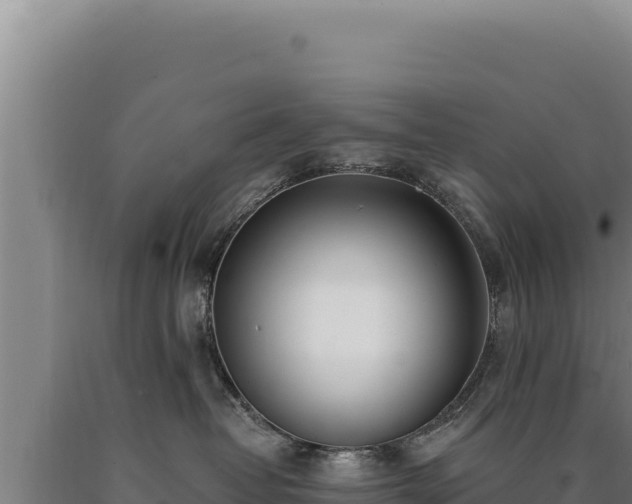 X0000090750382200707271450