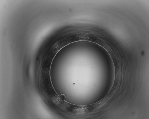 X0000090750383200707271450