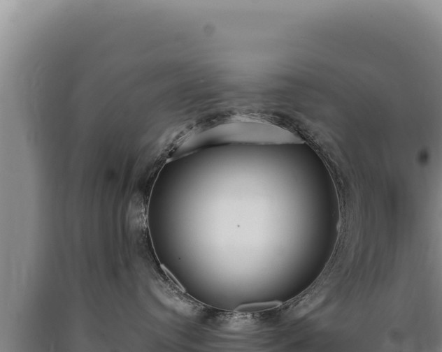 X0000090750384200707271450