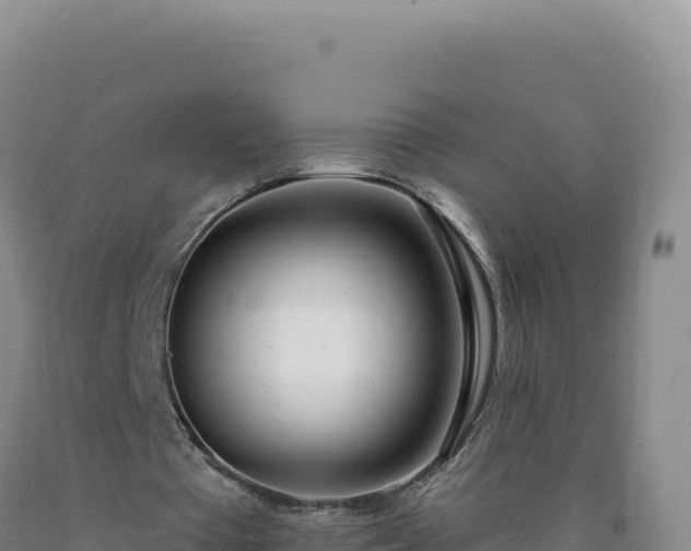 X0000090750385200707271450