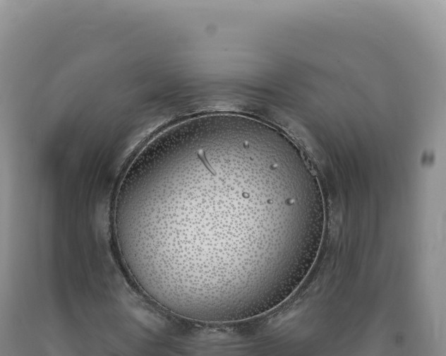 X0000090750386200707271450