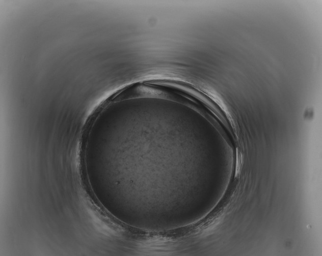 X0000090750387200707271450