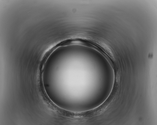 X0000090750388200707271450