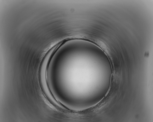 X0000090750389200707271450