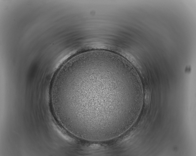 X0000090750390200707271450