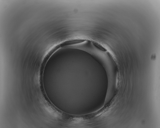 X0000090750391200707271450