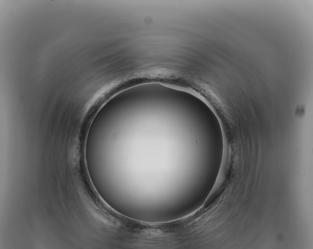 X0000090750392200707271450