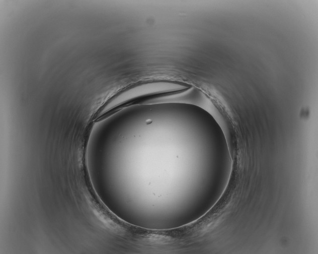 X0000090750393200707271450