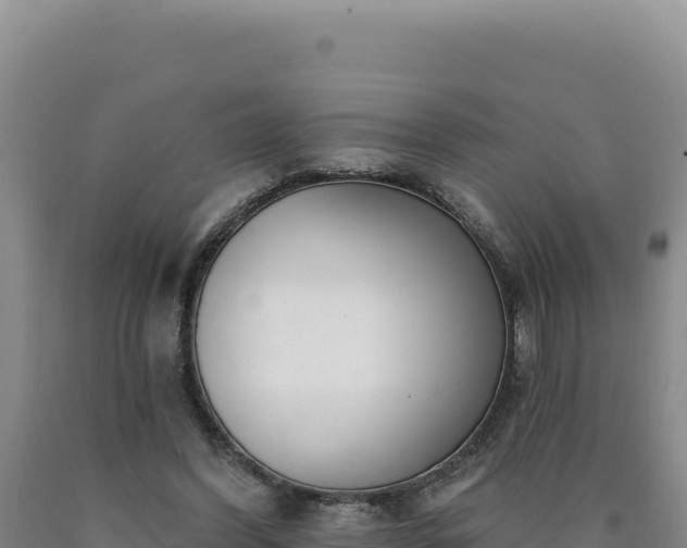 X0000090750396200707271450