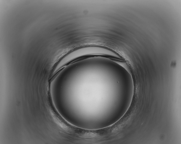 X0000090750397200707271450