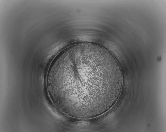 X0000090750398200707271450