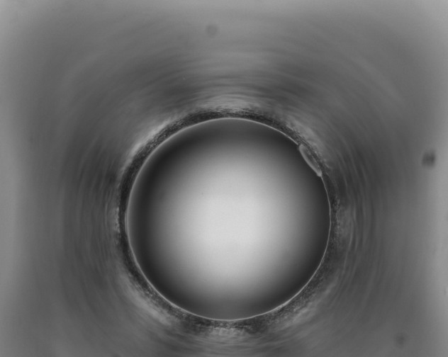 X0000090750399200707271450