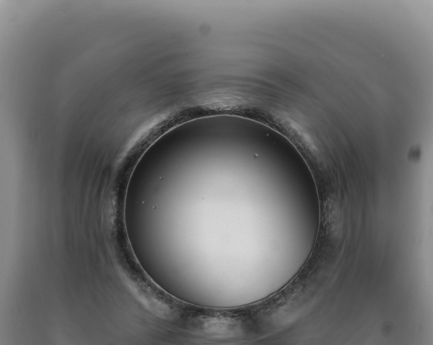 X0000090750400200707271450