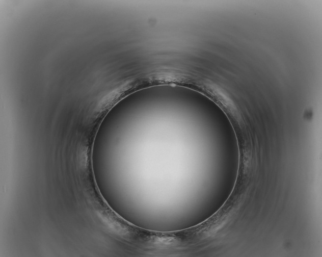 X0000090750401200707271450