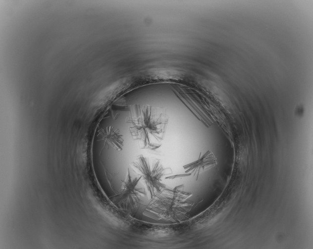 X0000090750402200707271450