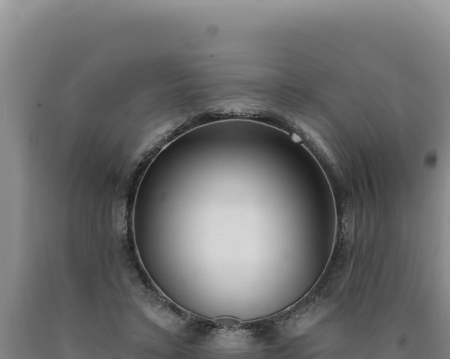 X0000090750403200707271450