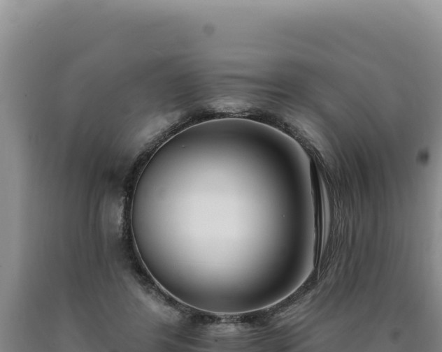 X0000090750404200707271450