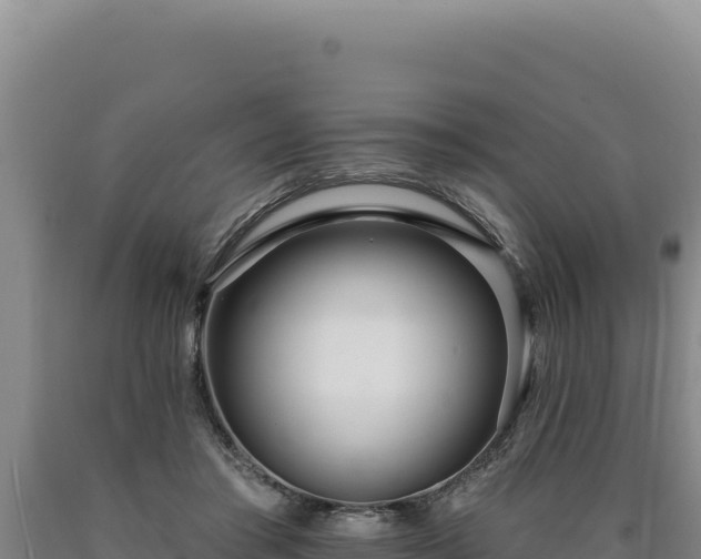 X0000090750405200707271450