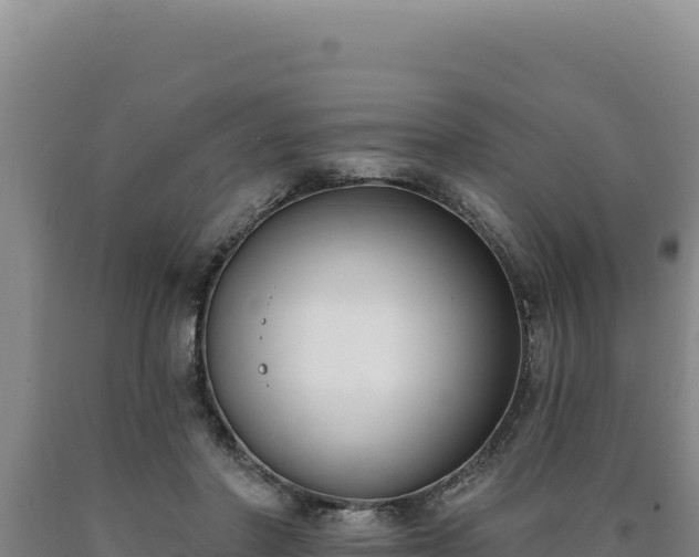 X0000090750406200707271449