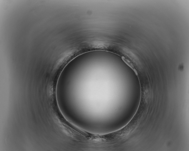 X0000090750407200707271449