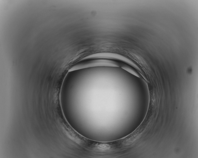 X0000090750409200707271449