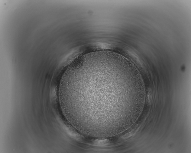 X0000090750410200707271449