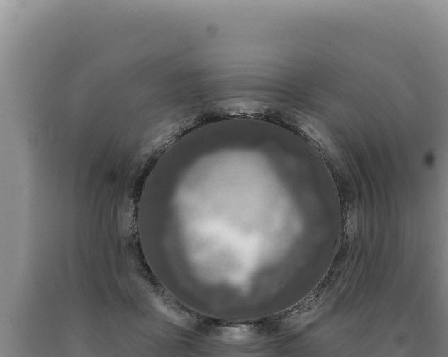 X0000090750411200707271449