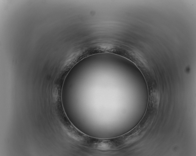 X0000090750412200707271449