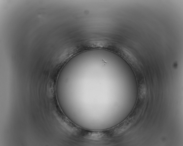 X0000090750414200707271449