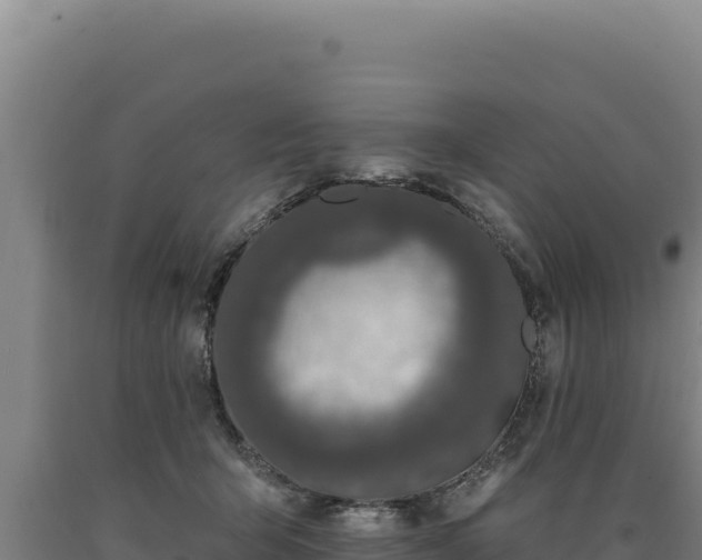 X0000090750415200707271449