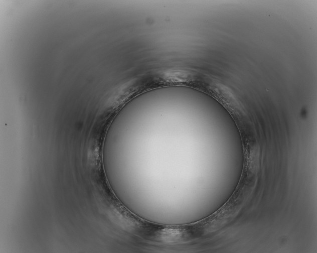 X0000090750418200707271449