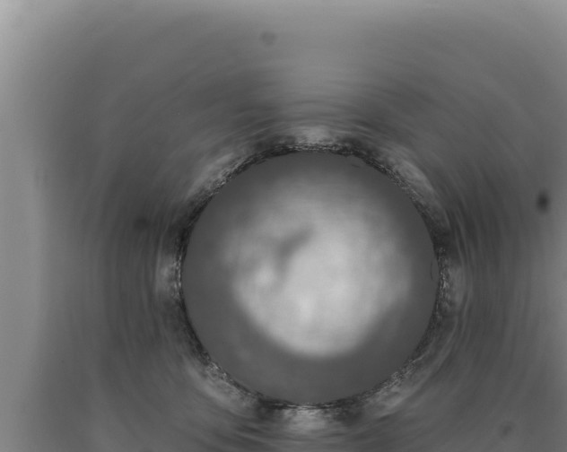 X0000090750419200707271449