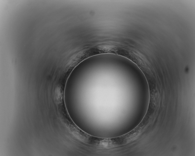 X0000090750420200707271449