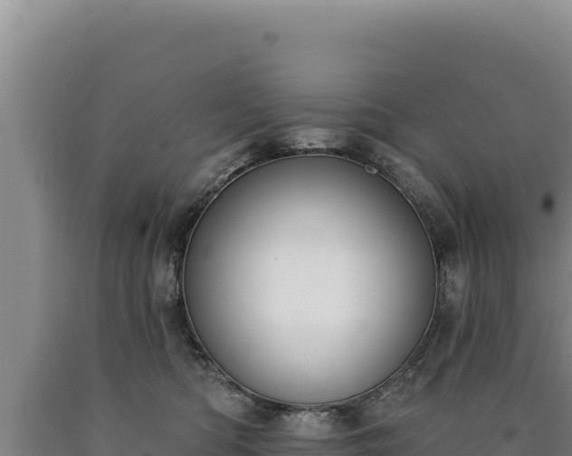 X0000090750422200707271449