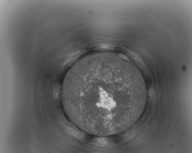 X0000090750423200707271449