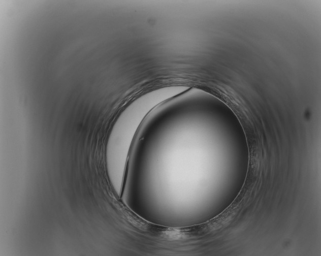 X0000090750425200707271449