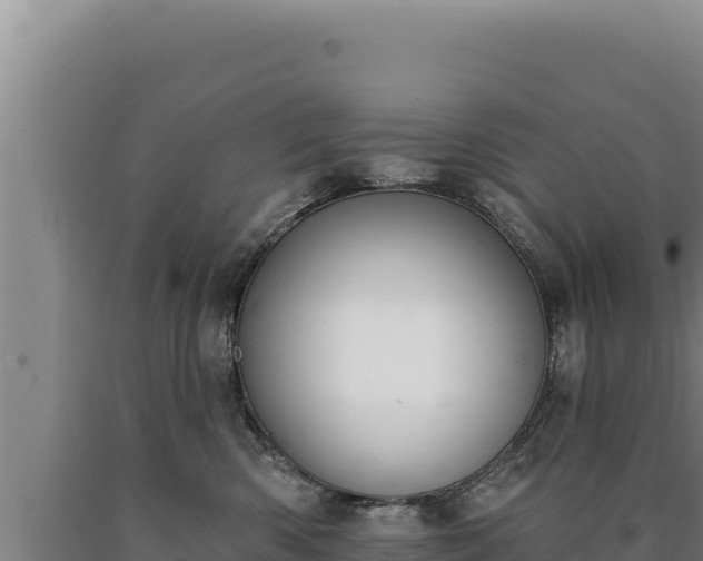 X0000090750426200707271449