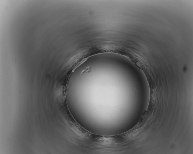 X0000090750428200707271449