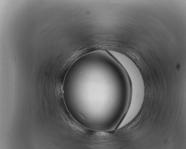 X0000090750429200707271449