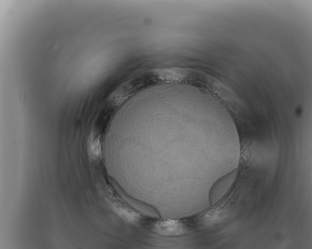 X0000090750431200707271449