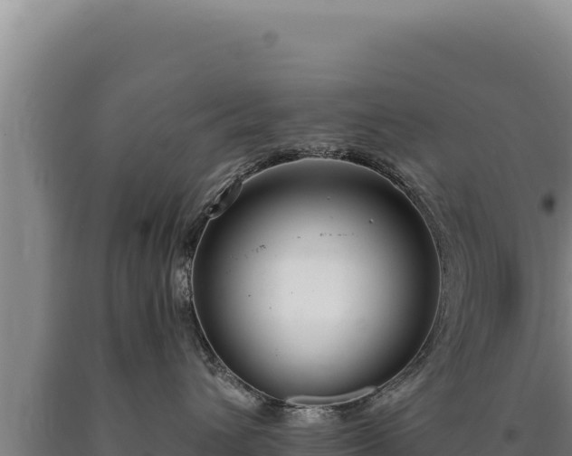 X0000090750432200707271449