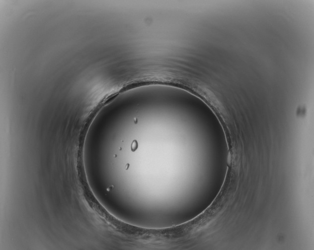 X0000090750434200707271448