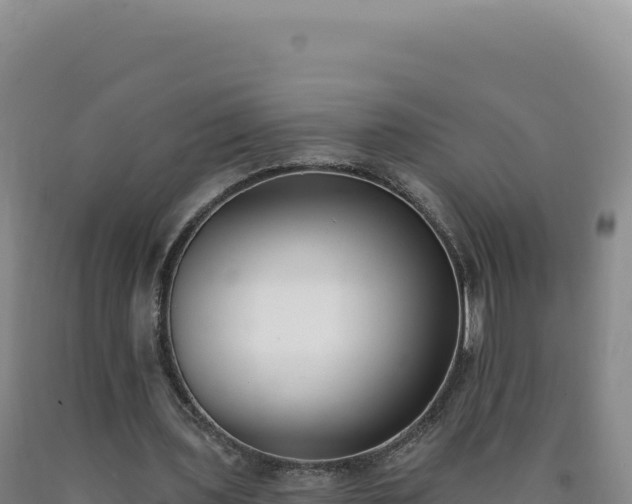 X0000090750435200707271448