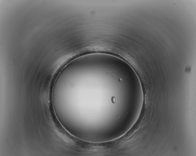 X0000090750438200707271448