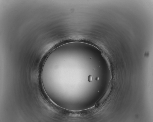 X0000090750440200707271448