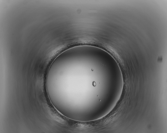 X0000090750442200707271449