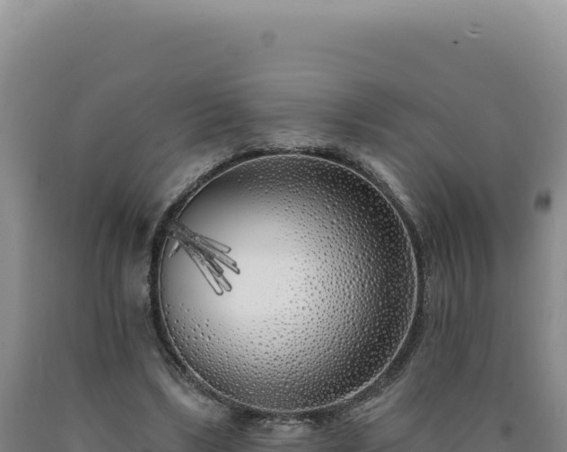 X0000090750443200707271449