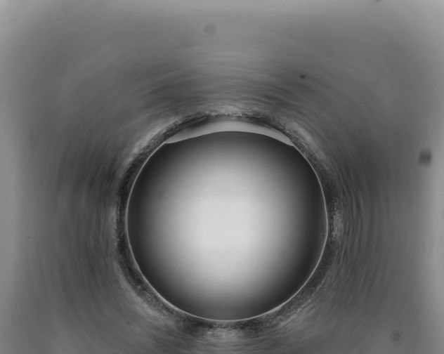 X0000090750444200707271449