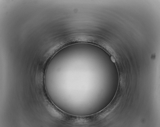 X0000090750445200707271449