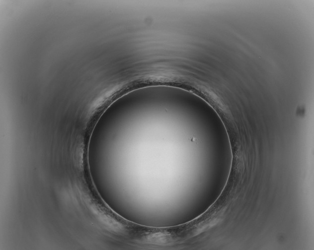 X0000090750446200707271449